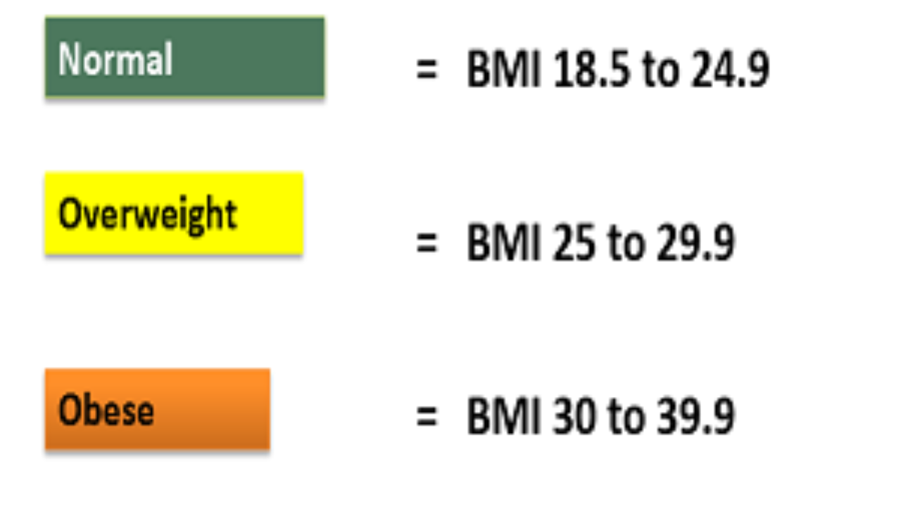 Bmi Nutritional Status Chart